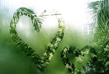 华夏再过奇光，文彩艾儿如线的行